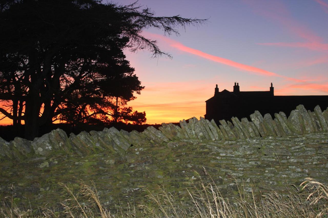 Bed & Breakfast High Keenley Fell Farm Allendale